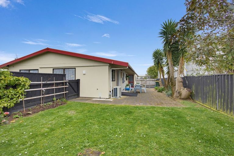 Photo of property in 133 Tiro Tiro Road, Levin, 5510