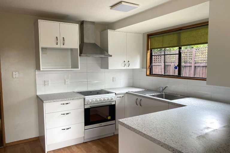 Photo of property in 182 Waimairi Road, Ilam, Christchurch, 8041