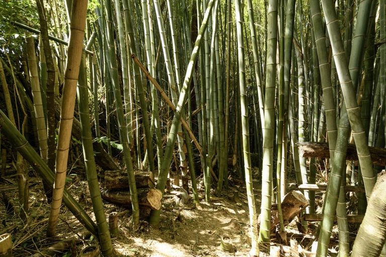 Photo of property in 1191 Cameron Road, Gate Pa, Tauranga, 3112