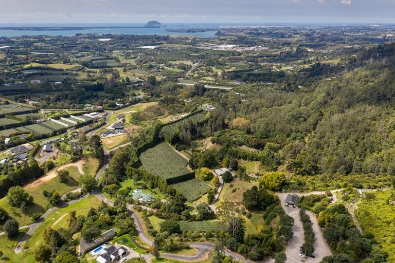 Photo of property in 93 Te Puna Quarry Road, Minden, Tauranga, 3179