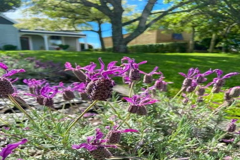 Photo of property in 22 Takiroa Street, Urenui, 4375