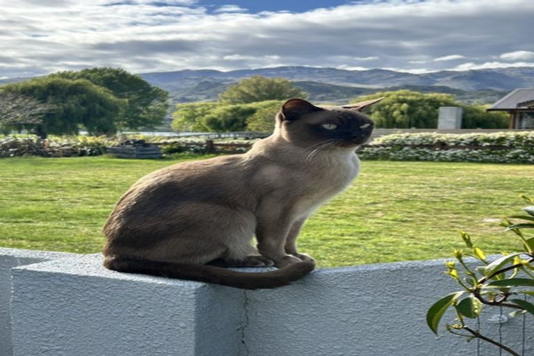 Photo of property in 59 Perriam Place, Mount Pisa, Cromwell, 9383