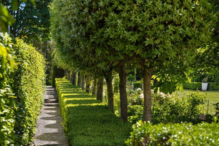 Photo of property in 31 Inkerman Street, Renwick, 7204