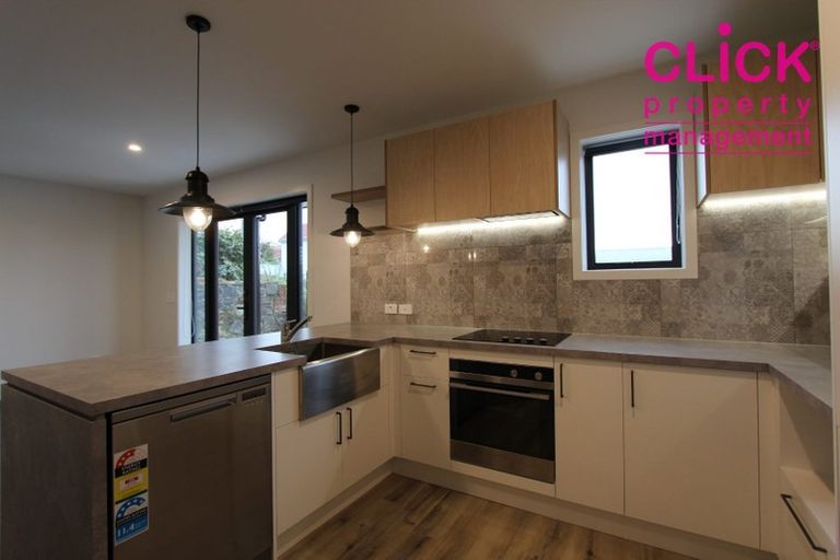 Photo of property in 87 Maitland Street, Dunedin Central, Dunedin, 9016