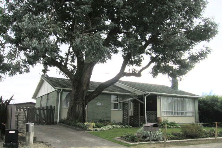 Photo of property in 41 Rochester Street, Tamatea, Napier, 4112