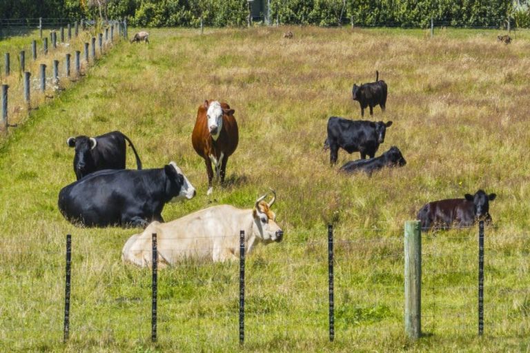 Photo of property in 24 Inglis Road, Okuku, Rangiora, 7473