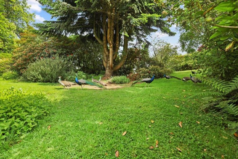 Photo of property in 488 Tapuwae Road, Maniaiti / Benneydale, Te Kuiti, 3987