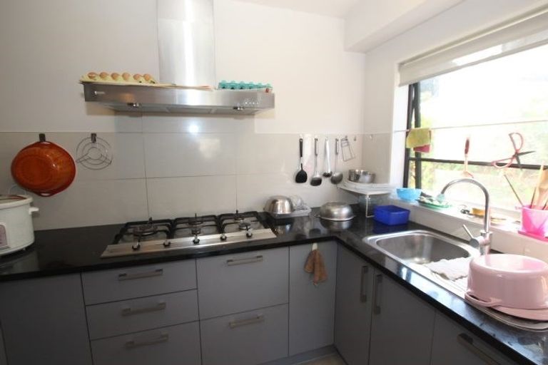 Photo of property in 43 Terrasini Drive, Flat Bush, Auckland, 2019