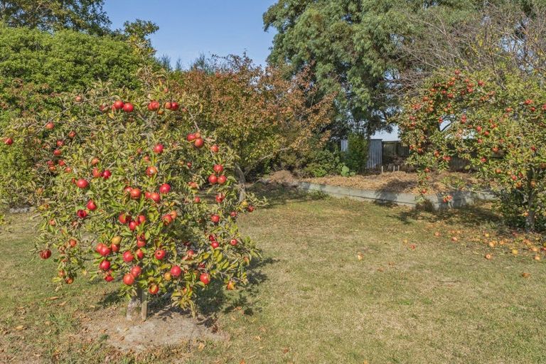 Photo of property in 8 Marion Place, Lincoln, 7608