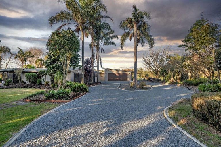 Photo of property in 90 Colebrook Road, Edgecumbe, Whakatane, 3193