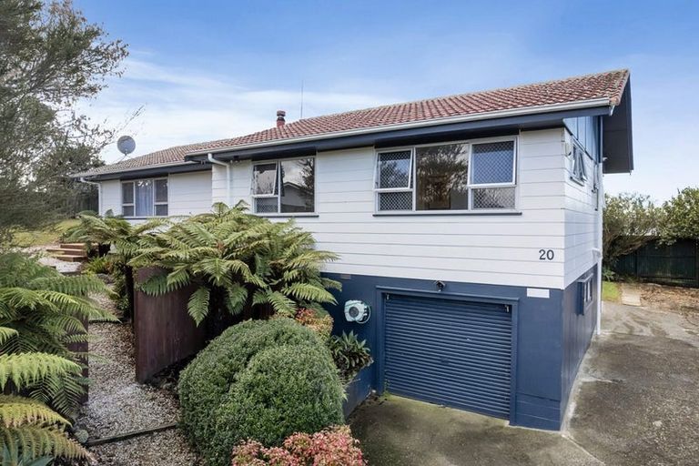 Photo of property in 20 Newham Place, Henderson, Auckland, 0612