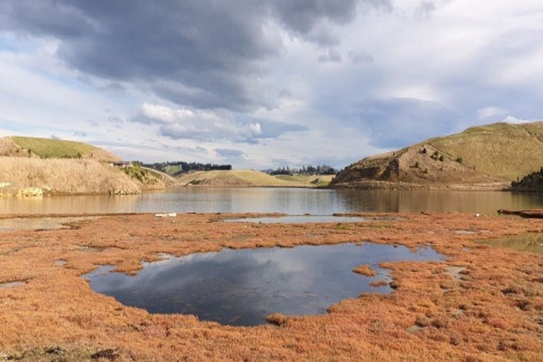 Photo of property in 371 Thorburn Road, Waikouaiti, 9472