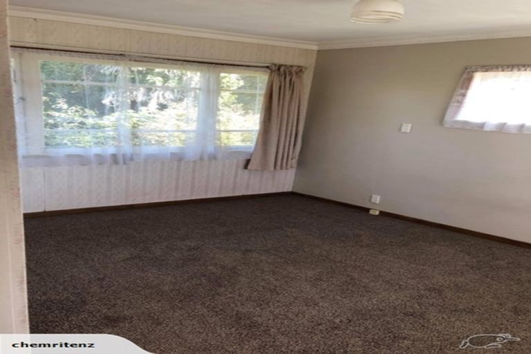 Photo of property in 130 Studholme Street, Morrinsville, 3300