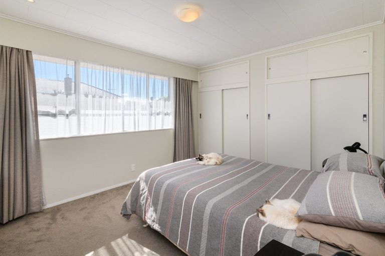 Photo of property in 51 Fitzroy Street, Terrace End, Palmerston North, 4410