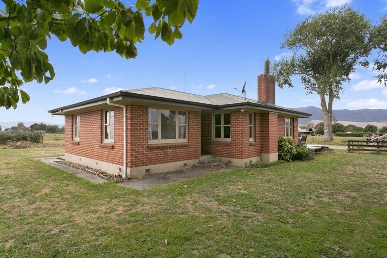Photo of property in 595b Tauranga Road, Te Poi, Matamata, 3473