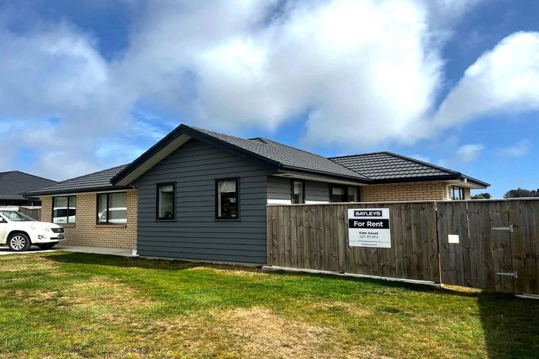 Photo of property in 93 Fairfield Road, Levin, 5510