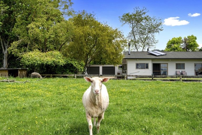 Photo of property in 857a Poutakataka Road, Atiamuri, Rotorua, 3077