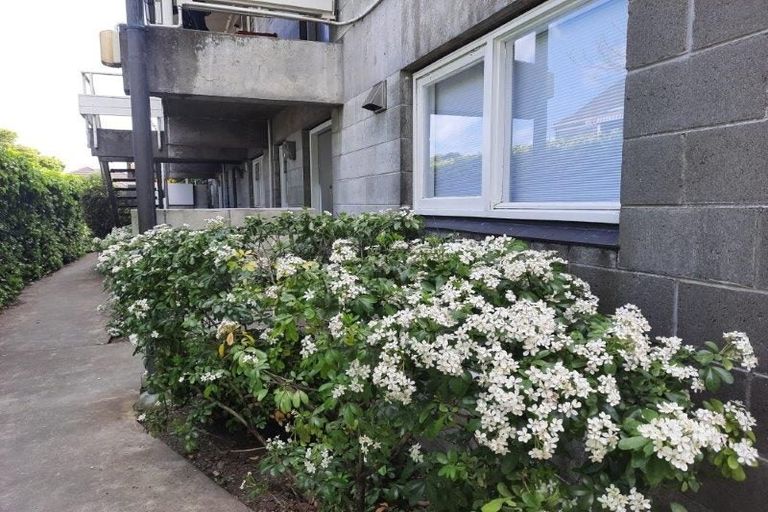 Photo of property in 142 Waimairi Road, Ilam, Christchurch, 8041