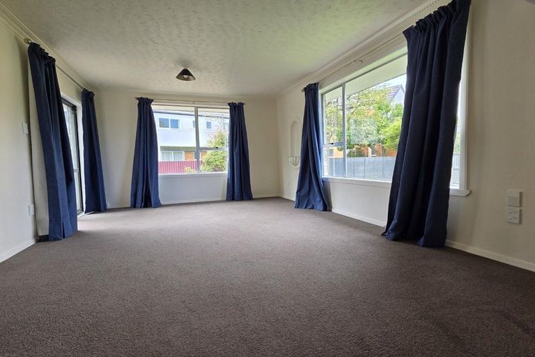 Photo of property in 60 Aldwins Road, Phillipstown, Christchurch, 8062