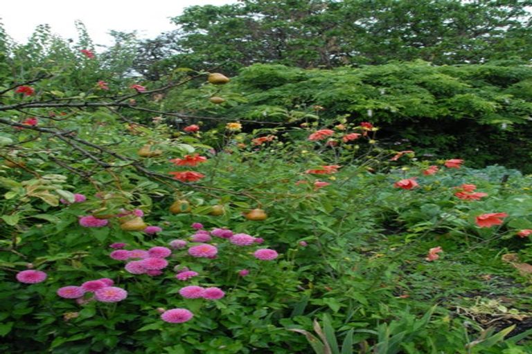 Photo of property in 15 Miriam Street, Masterton, 5810