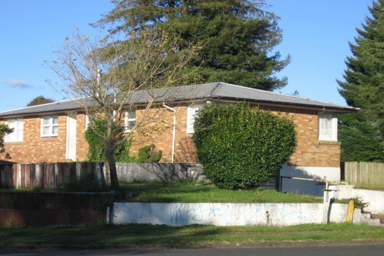 Photo of property in 161 Elizabeth Drive, Tokoroa, 3420