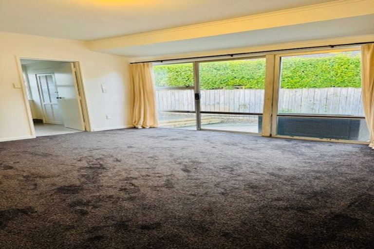 Photo of property in 46 Ivanhoe Road, Grey Lynn, Auckland, 1021