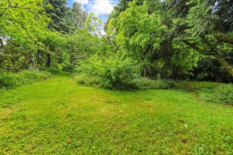 Photo of property in 488 Tapuwae Road, Maniaiti / Benneydale, Te Kuiti, 3987