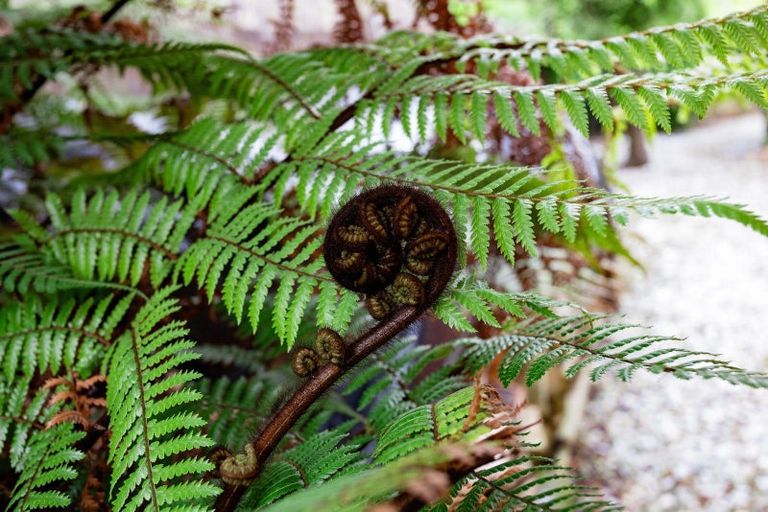 Photo of property in 55 Montrose Street, Gladstone, Invercargill, 9810