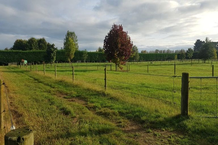 Photo of property in 62 Webster Road, Matangi, Hamilton, 3284