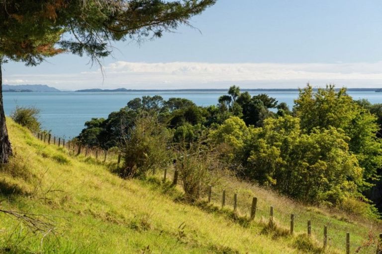 Photo of property in 331 Pahoia Road, Whakamarama, 3172