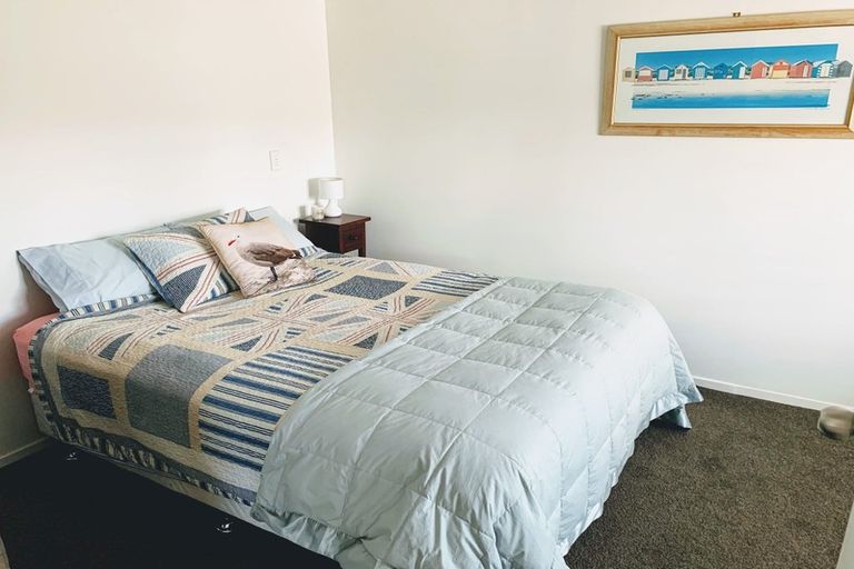 Photo of property in 44 Concord Avenue, Mount Maunganui, 3116