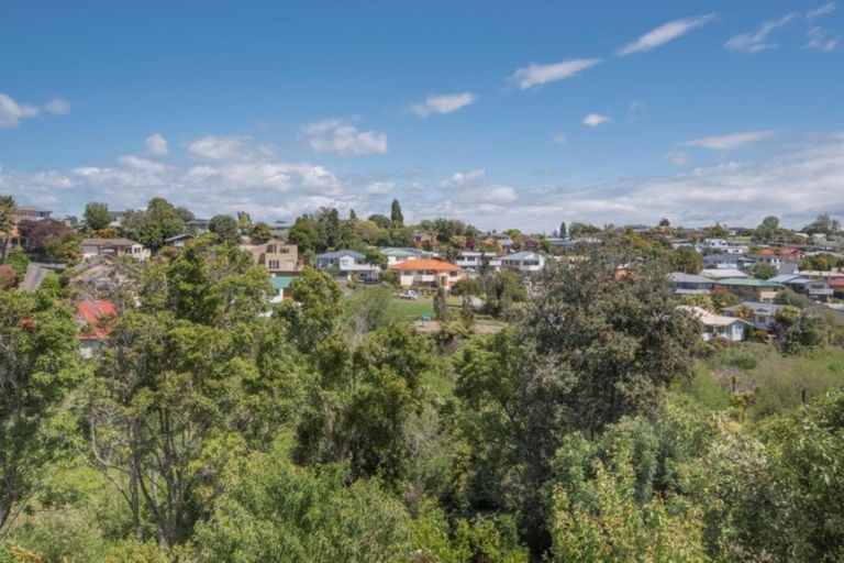 Photo of property in 158 Darraghs Road, Brookfield, Tauranga, 3110