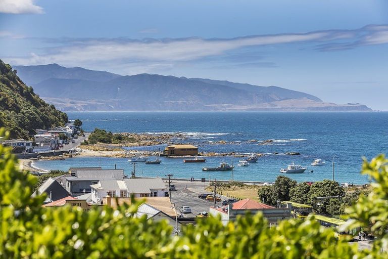 Photo of property in 156 Derwent Street, Island Bay, Wellington, 6023