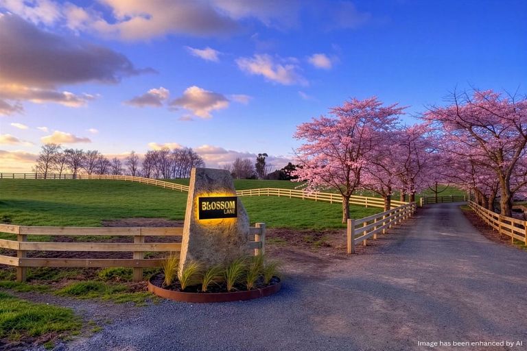 Photo of property in 84 Overdale Road, Putaruru, 3483