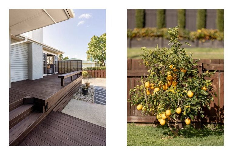 Photo of property in 15 Dunlop Road, Te Puke, 3119