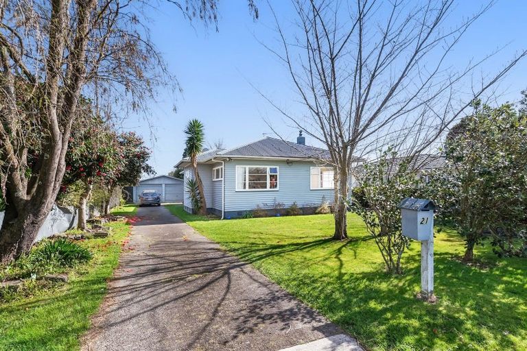 Photo of property in 21 Edinburgh Street, Levin, 5510