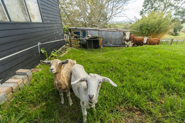 Photo of property in 210 Milne Road, Purua, Whangarei, 0172