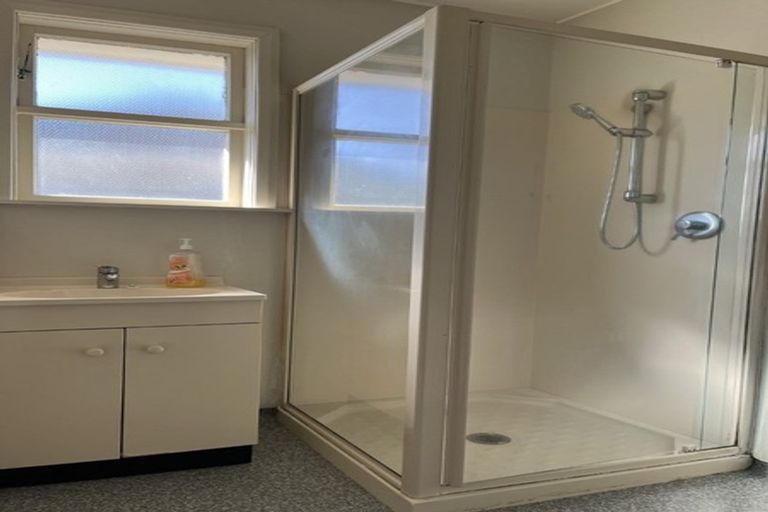 Photo of property in 55 Power Street, Levin, 5510