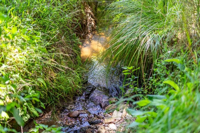 Photo of property in 162 Murphys Road, Judgeford, Porirua, 5381