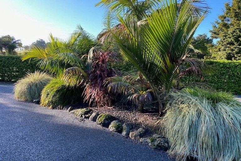 Photo of property in 137 Waikuku Road, Waimate North, Kaikohe, 0472