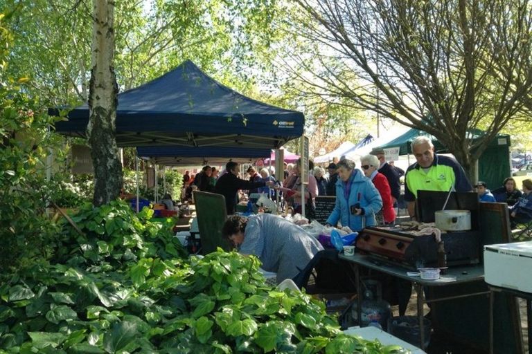 Photo of property in 11 Johnson Avenue, Amberley, 7410