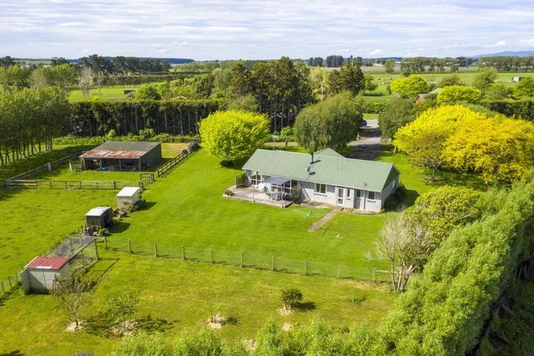 Photo of property in 71 Whelans Road, Levin, 5571