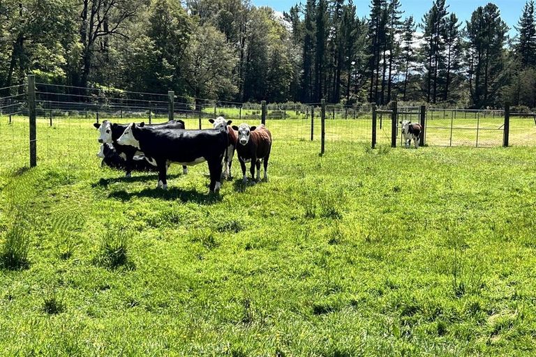 Photo of property in 8 Moonlight Road, Atarau, Blackball, 7871