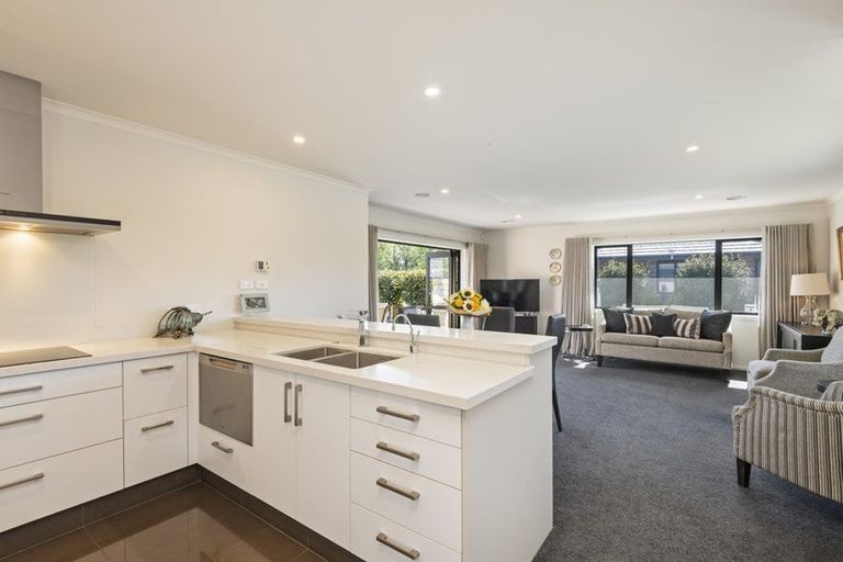 Photo of property in 546/1 Church Street, Terrace End, Palmerston North, 4410