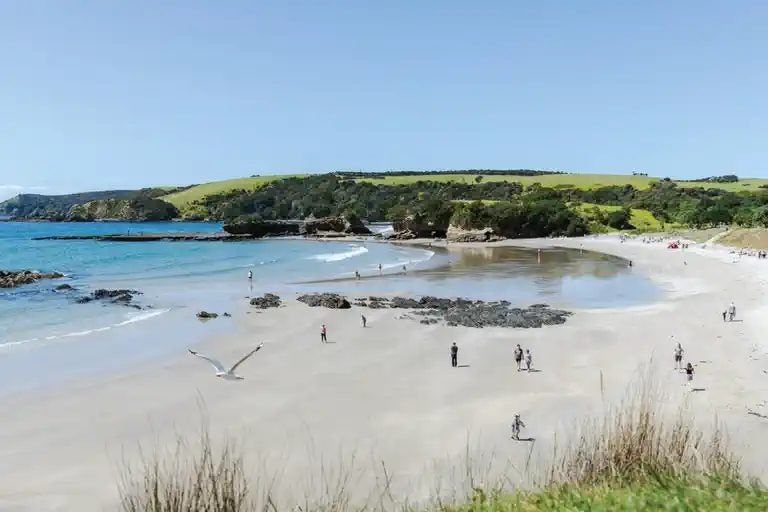 Photo of property in 31 Taiao Rise, Warkworth, 0985