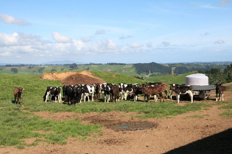 Photo of property in 888a Otaraoa Road, Tikorangi, Waitara, 4383