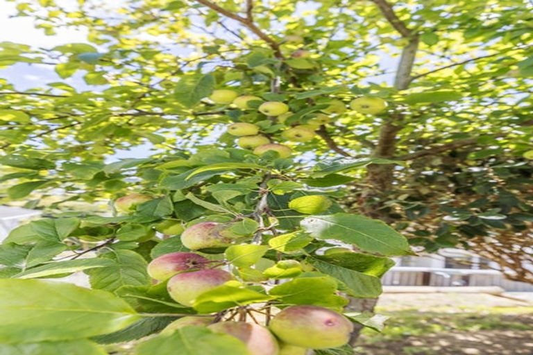 Photo of property in 19 Pembroke Street, Tawa, Wellington, 5028