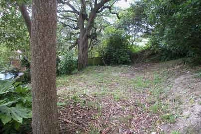 Photo of property in 111 Hamilton Road, Hataitai, Wellington, 6021