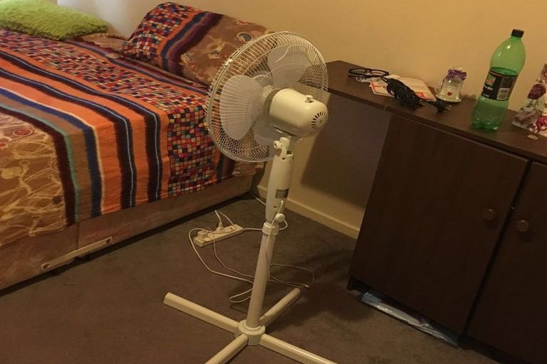 Photo of property in 30b Seddon Street, Te Puke, 3119