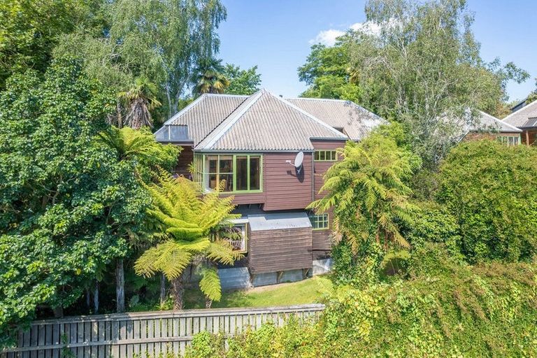 Photo of property in 8 Cook Street, Hamilton East, Hamilton, 3216